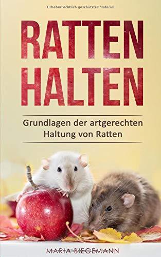 Ratten halten: Grundlagen der artgerechten Haltung von Ratten