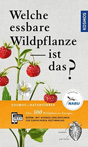 Welche essbare Wildpflanze ist das?