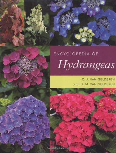 Encyclopedia of Hydrangeas