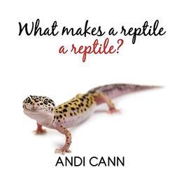 What Makes a Reptile a Reptile (Animal Classes, Band 5)