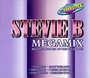 Stevie B Megamix