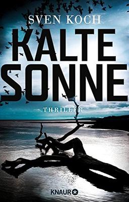 Kalte Sonne: Thriller