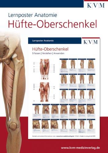 Lernposter Anatomie: Region Hüfte - Oberschenkel