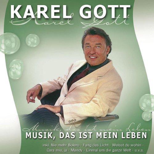 Musik,das Ist Mein Leben