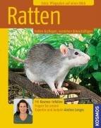 Ratten: halten & pflegen, verstehen & beschäftigen