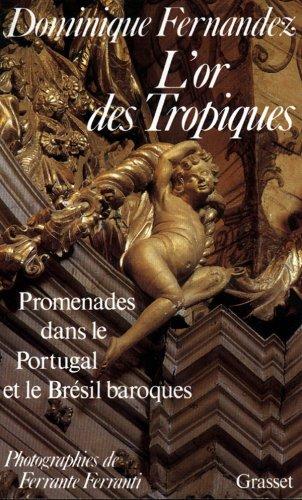 L'Or des Tropiques : promenades dans le Portugal et le Brésil baroques