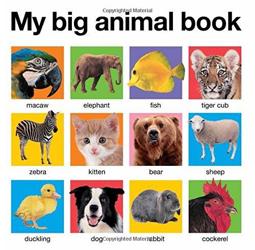 My Big Animal Book (My Big Board Books)