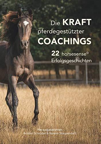 Die Kraft pferdegestützter Coachings: 22 horsesense Erfolgsgeschichten