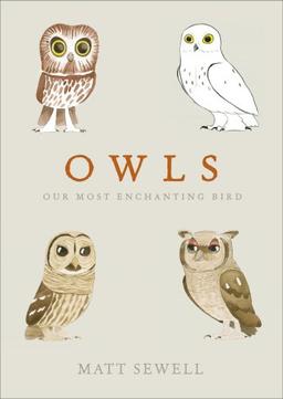 Owls: Our Most Enchanting Bird