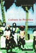 Culture in Practice: Selected Essays: Collected Essays