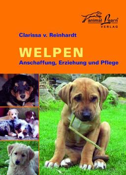 Welpen: Anschaffung, Erziehung und Pflege