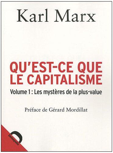 Qu'est-ce que le capitalisme. Vol. 1. Les mystères de la plus-value