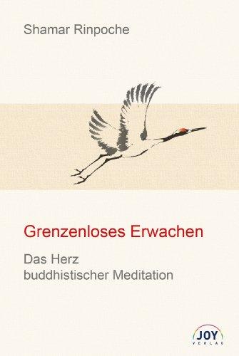 Grenzenloses Erwachen: Das Herz buddhistischer Meditation - Grundlegende Unterweisungen zur Shine- und Lhagthong Praxis