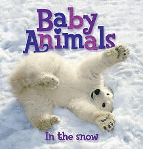 In the Snow (Baby Animals)