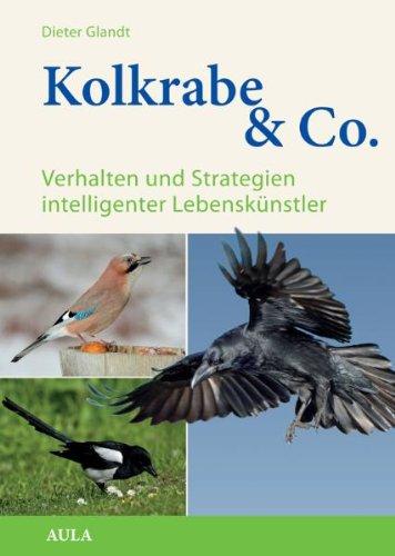 Kolkrabe & Co.: Verhalten und Strategien intelligenter Lebenskünstler