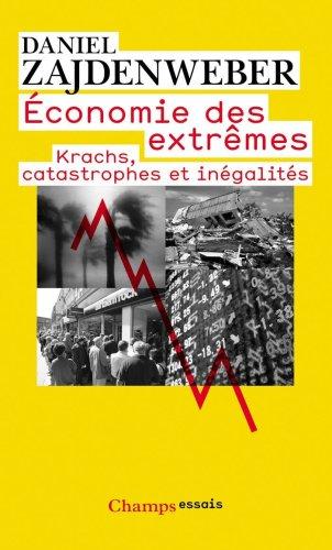 Economie des extrêmes : krachs, catastrophes et inégalités