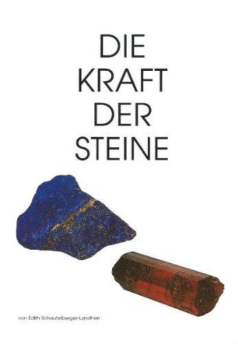 Die Kraft der Steine, 2 Bde., Bd.1