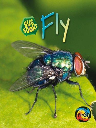 Fly (Bug Books)