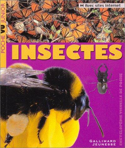 Insectes