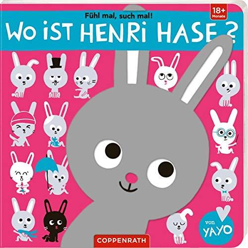 Fühl mal, such mal!: Wo ist Henri Hase?