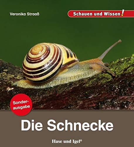 Die Schnecke / Sonderausgabe: Schauen und Wissen! (Schauen und Wissen! Heftausgaben)