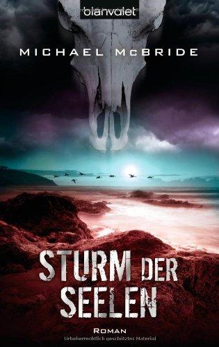 Sturm der Seelen: Roman