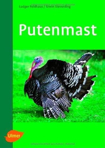 Putenmast