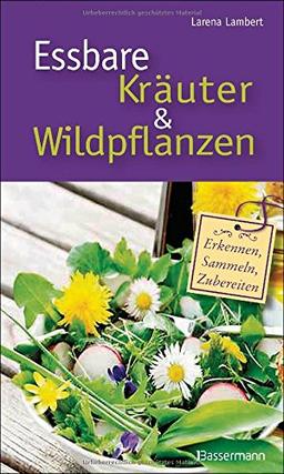 Essbare Kräuter und Wildpflanzen: erkennen, sammeln und zubereiten