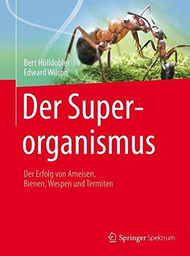 Der Superorganismus: Der Erfolg von Ameisen, Bienen, Wespen und Termiten