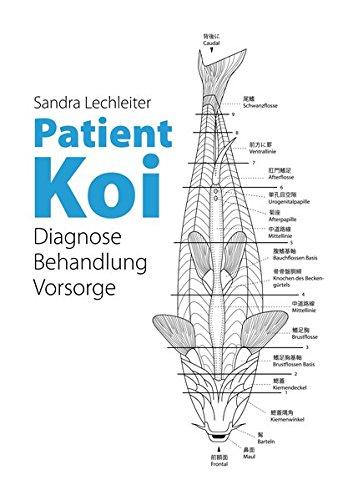 Patient Koi: Diagnose - Behandlung - Vorsorge