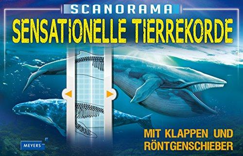 Scanorama - Sensationelle Tierrekorde (Meyers Kinderwissen / Scanorama)