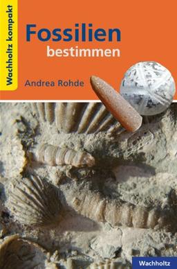 Fossilien bestimmen KOMPAKT