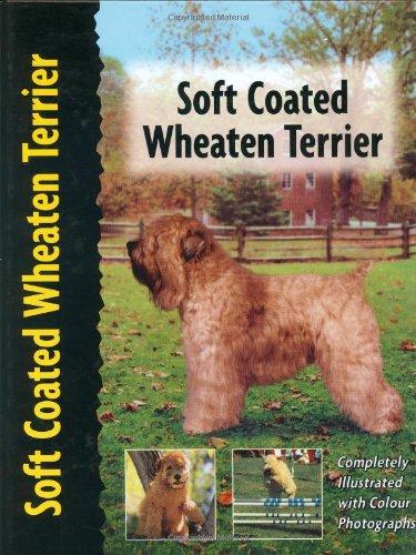 Soft Coated Wheaten Terrier (Pet Love S.)