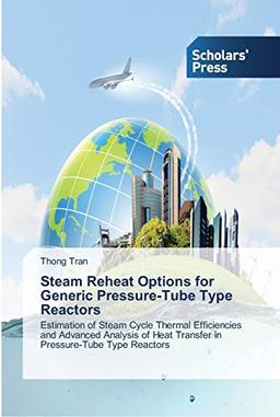 Steam Reheat Options for Generic Pressure-Tube Type Reactors: Estimation of Steam Cycle Thermal Efficiencies and Advanced Analysis of Heat Transfer in Pressure-Tube Type Reactors