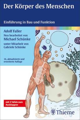 Der Körper des Menschen. Einführung in Bau und Funktion (Thieme Flexible Taschenbücher)