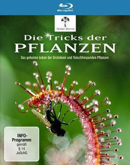 Die Tricks der Pflanzen [Blu-ray]