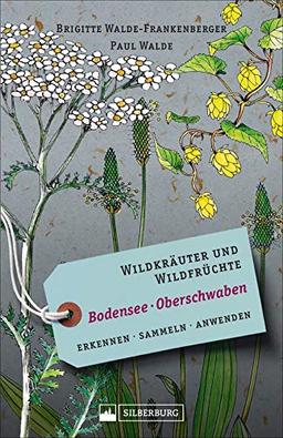 Wildkräuter und Wildfrüchte Bodensee/Oberschwaben. Erkennen, sammeln, anwenden. Wildpflanzen-Ratgeber für Wanderer, Sammler und botanisch Interessierte. Inkl. Beschreibungen und Anwendungshinweise.