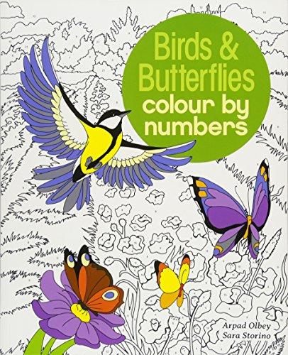 Colour by Numbers Birds & Butterflies