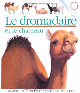 Le dromadaire et le chameau