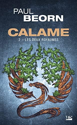 Calame. Vol. 2. Les deux royaumes