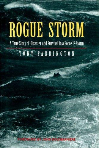 Rogue Storm