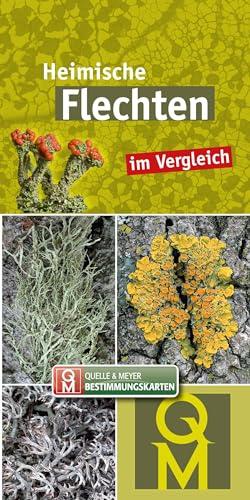 Heimische Flechten: im Vergleich (Quelle & Meyer Bestimmungskarten)