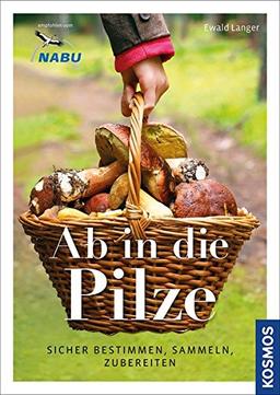 Ab in die Pilze: Sicher bestimmen, sammeln, zubereiten