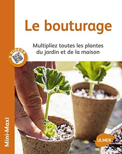 Le bouturage : multipliez toutes les plantes du jardin et de la maison