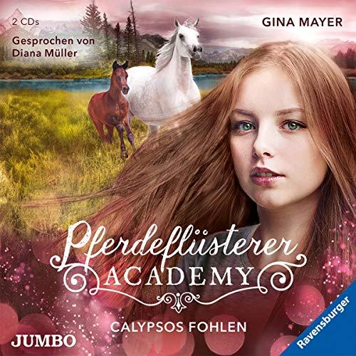 Pferdeflüsterer-Academy (6).Calypsos Fohlen