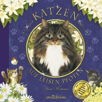 Katzen - Auf leisen Pfoten