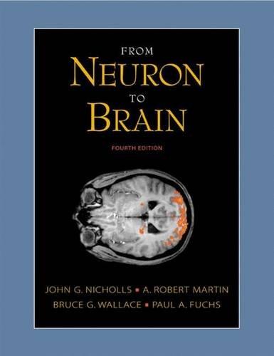 From Neuron to Brain: A Cellular and Molecular Approach to the Function of the Nervous System: Cellular Approach to the Function of the Nervous System