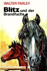 Blitz und der Brandfuchs. (Blitz ; Bd. 8) ( Ab 10 J.)