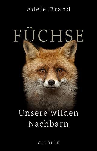 Füchse: Unsere wilden Nachbarn