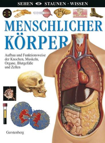 Menschlicher Körper: Aufbau und Funktionsweise der Knochen, Muskeln, Organe, Blutgefäße und Zellen